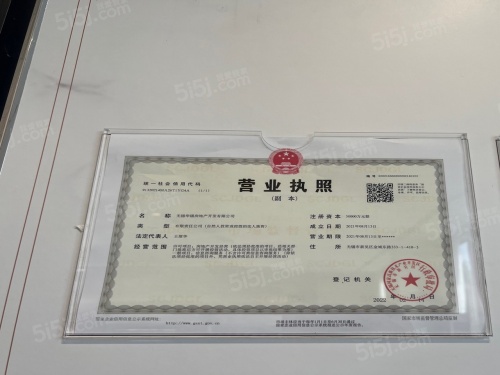 大华公园城市第9张图