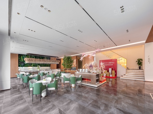 大华公园城市第6张图