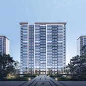 万科紫辰光年开发商营业执照相册