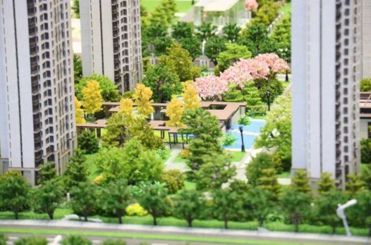 楼栋