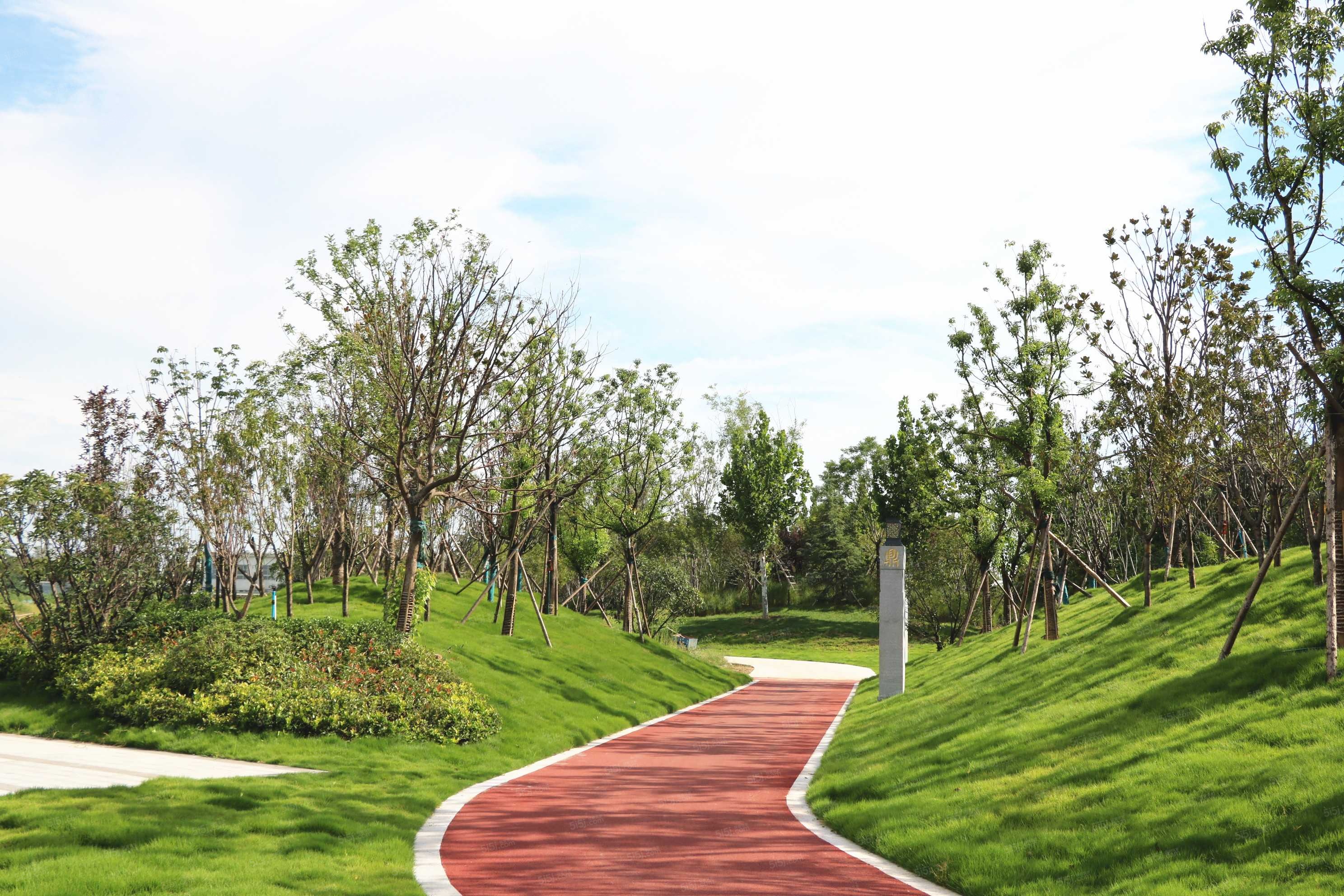 富田城九鼎华府实景图