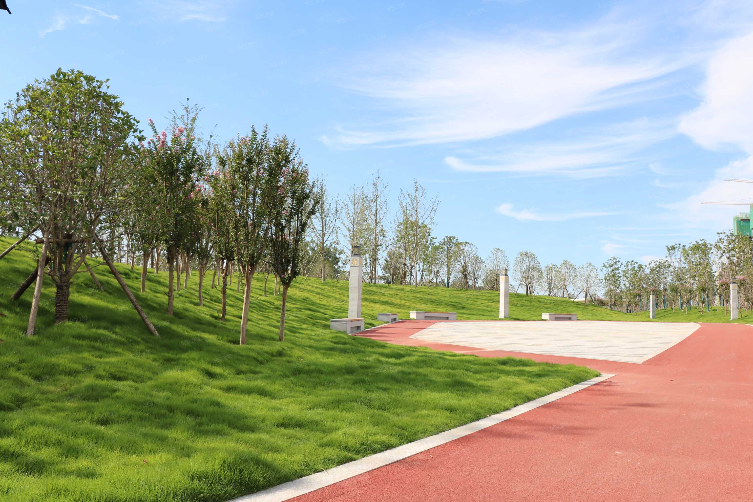 富田城九鼎华府实景图