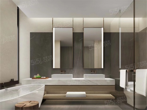 绿地中央广场第5张图