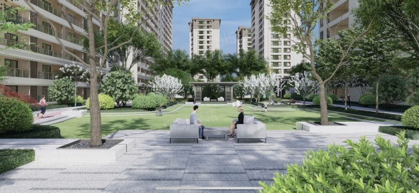 青溪美庐第17张图