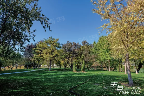 宸知筑（玺院）第16张图