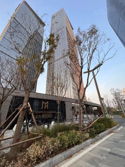 万科大都会滨江实景图