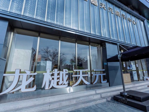 龙樾天元第28张图