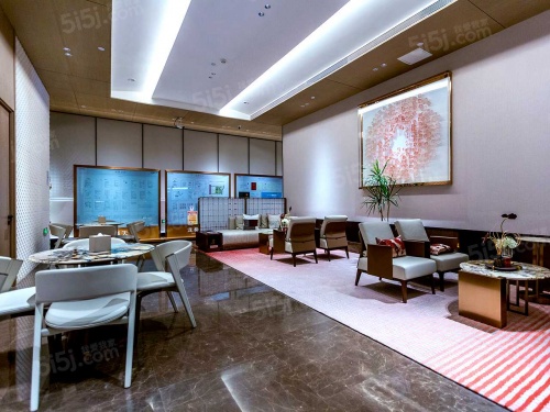 龙樾天元第37张图