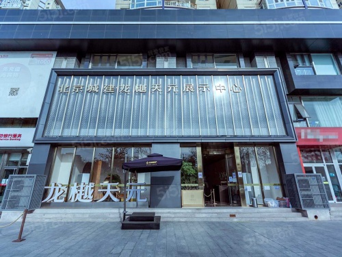 龙樾天元第27张图