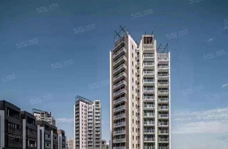 公园海德项目现场