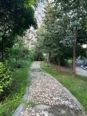 京洲世家第21张图