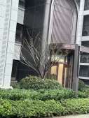高科紫尧星院沙盘图相册