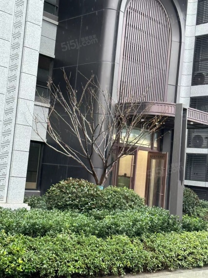 高科紫尧星院实景图