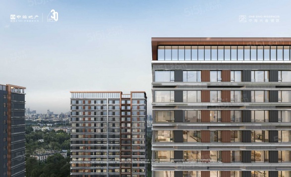 中海兴叁号院第12张图