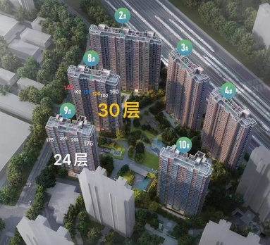 楼栋