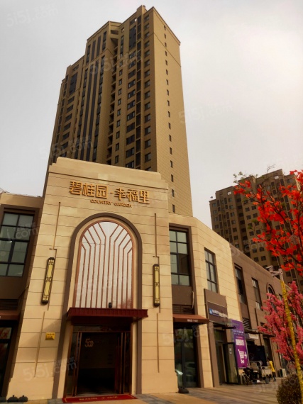 碧桂园幸福里实景图