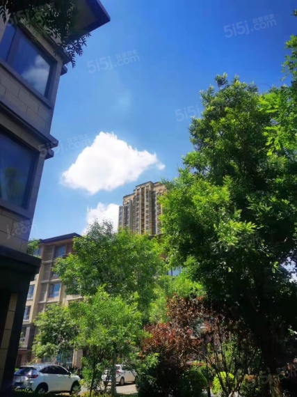 中交上东湾实景图