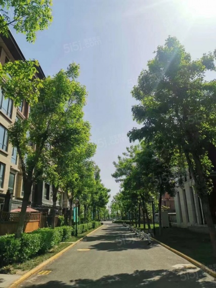 中交上东湾实景图