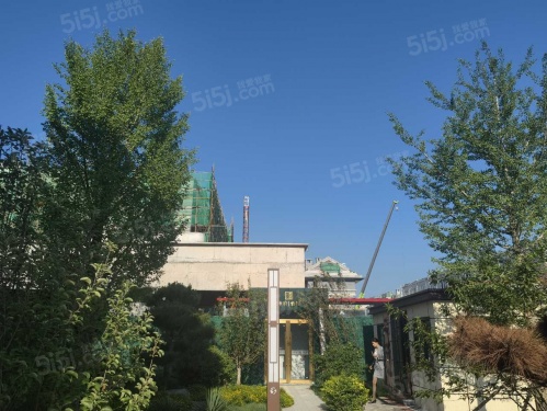 帅府君园第29张图