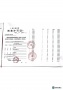 中铁世纪尚城预售许可证相册大图