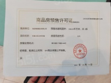 绿都东澜府（绿都广州路壹号）开发商营业执照相册