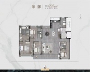 5室2厅3卫户型图