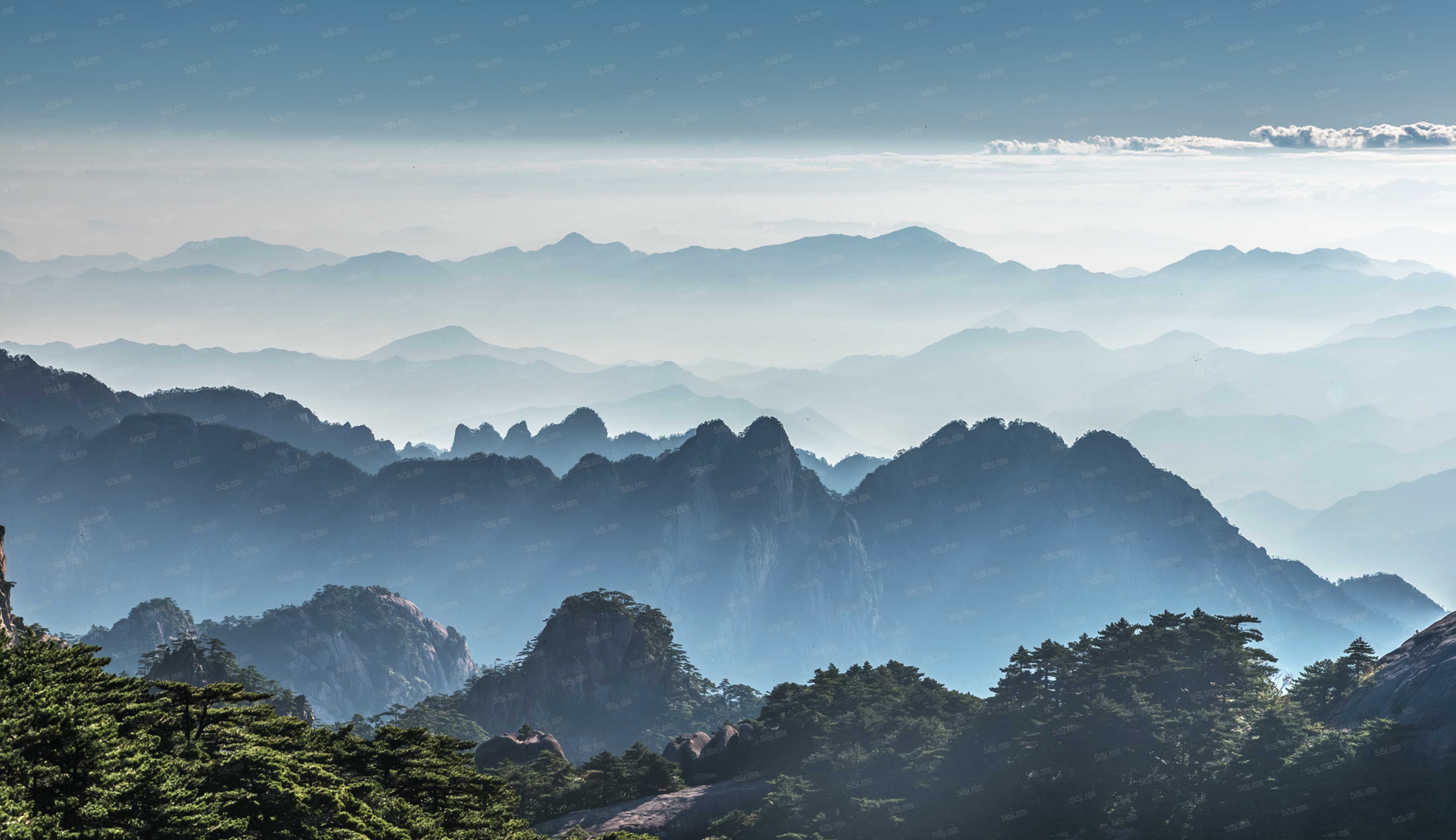 梧桐山语实景图