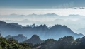 梧桐山语实景图相册大图