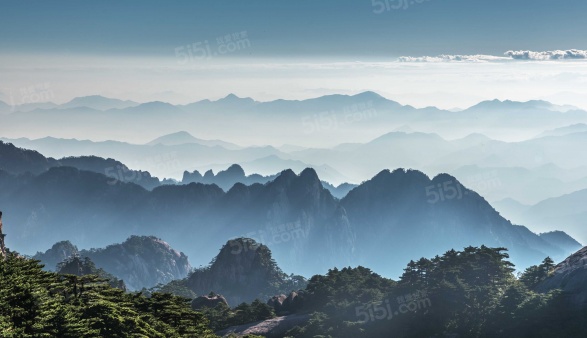 梧桐山语第16张图