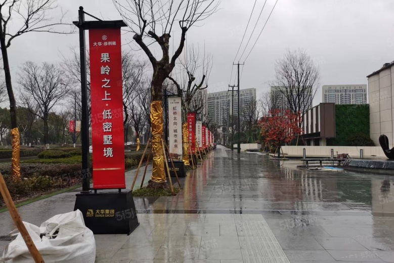 大华梧桐樾实景图