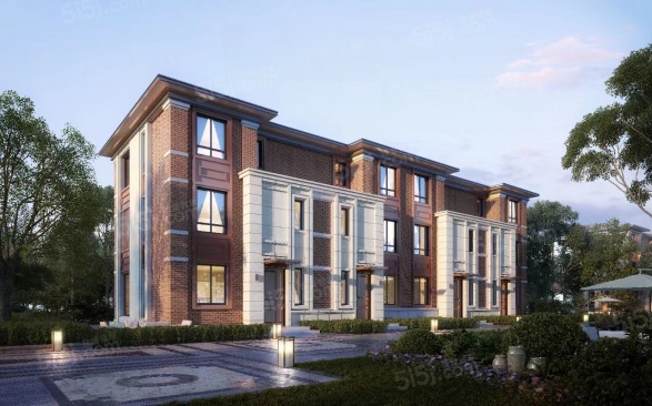 温哥华森林第2张图