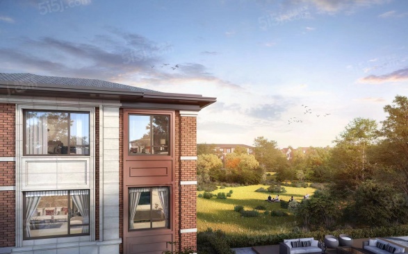 温哥华森林第3张图