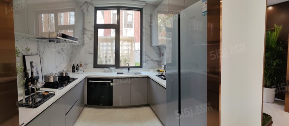 温哥华森林第7张图