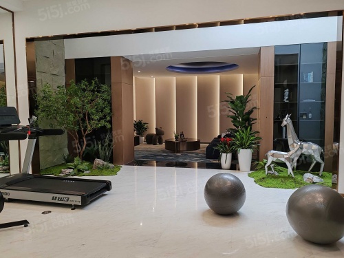 温哥华森林第9张图