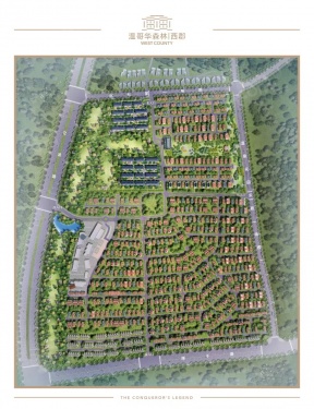 温哥华森林第17张图