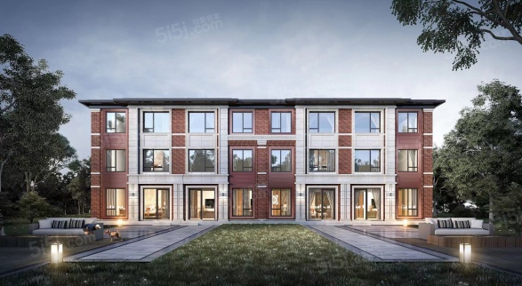 温哥华森林第1张图