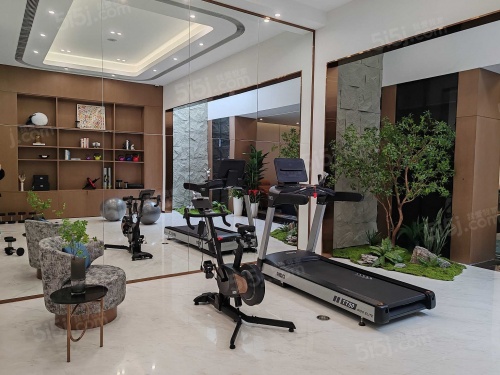 温哥华森林第5张图