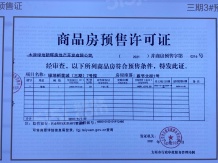 绿地新里城开发商营业执照相册