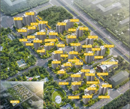 梧桐星宸第18张图