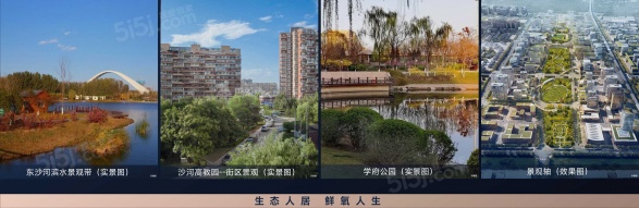 梧桐星宸第12张图