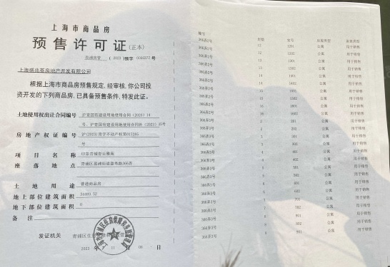 印象青城第99张图