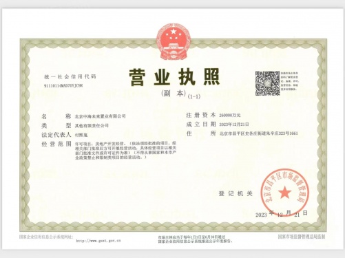 中海寰宇未来第14张图