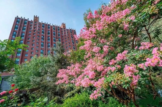 紫金印象第14张图