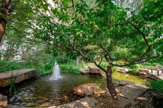 紫金印象第15张图