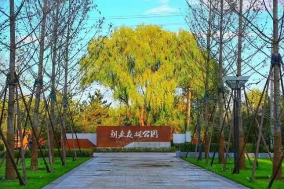 望京国誉府第18张图