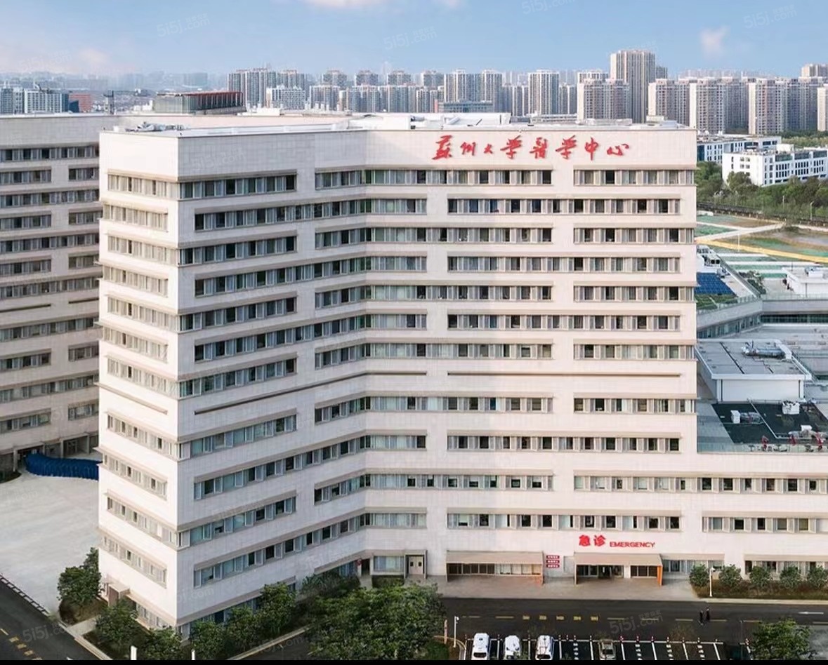 象屿天悦东方配套图