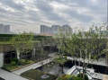 保利国贸璟上实景图相册大图