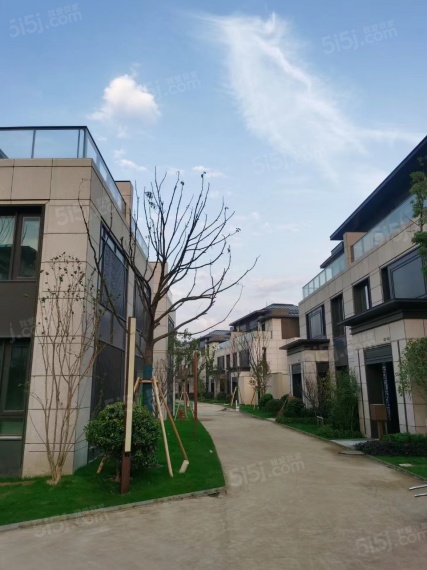 紫锦墅院实景图