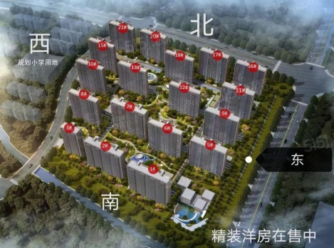 楼栋