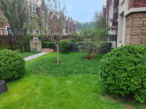 建投新光之城第12张图